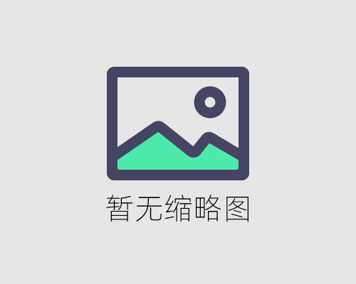 女巡特警之蜂鸟突击队